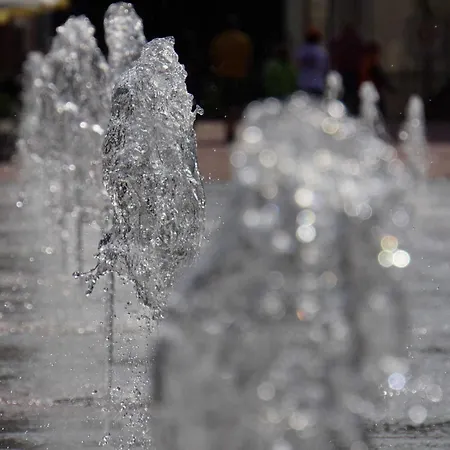 Schwarzwaldfreude Διαμέρισμα *