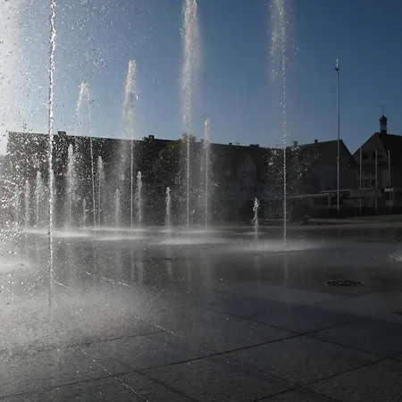 Schwarzwaldfreude Φρόιντενσταντ