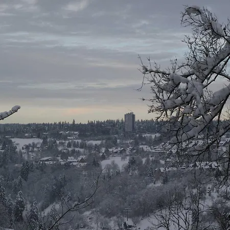 Schwarzwaldfreude Διαμέρισμα Φρόιντενσταντ