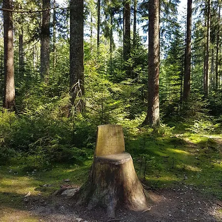 Schwarzwaldfreude * Φρόιντενσταντ