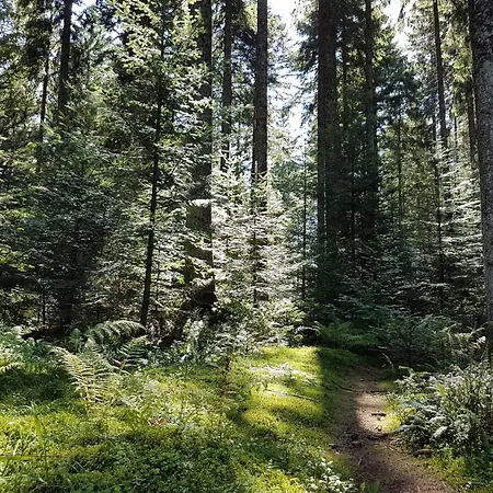 Διαμέρισμα Schwarzwaldfreude